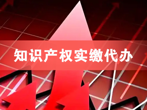 永安知识产权实缴资本代办